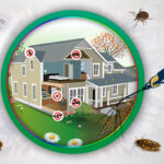 Keep Your House Safe And Clean With Residential Pest Control