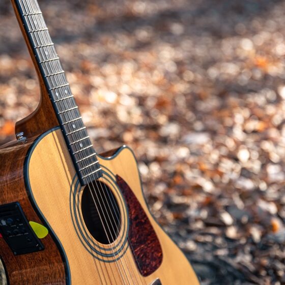 Acoustic Guitar Bracing Wood